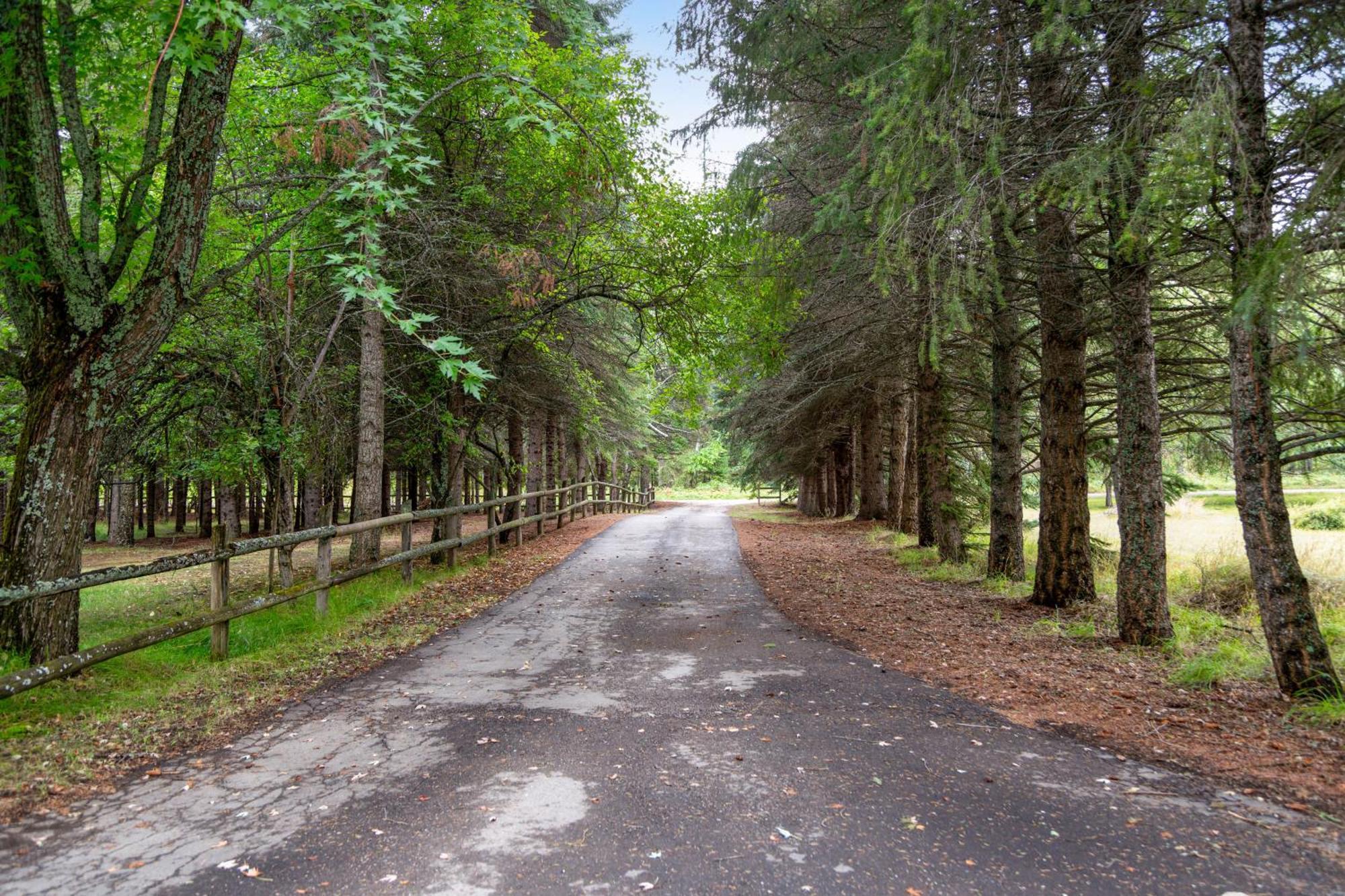 Swan River Rendezvous Bigfork Ngoại thất bức ảnh